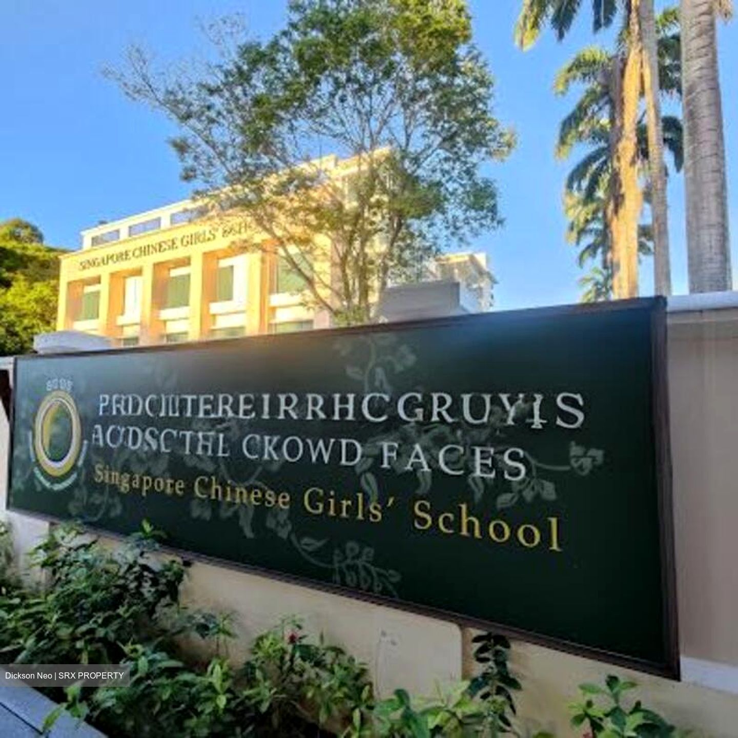 College Green (D11), Detached #496441541